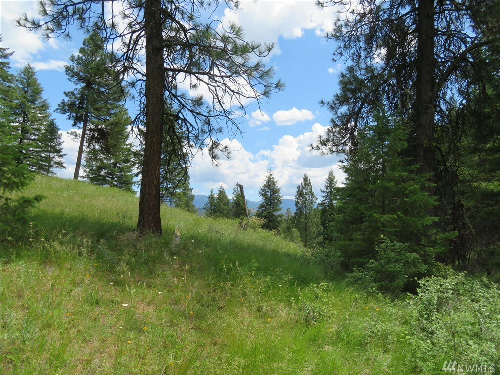 Property Photo: Tbd W Curlew Lake Rd WA 99166