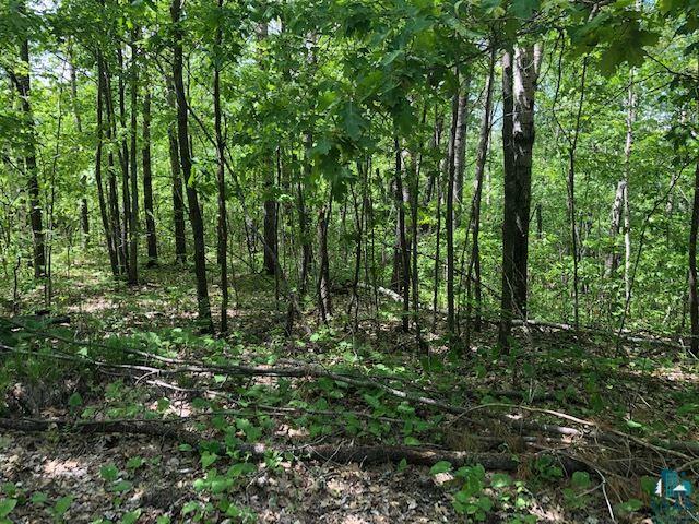 Property Photo:  Lot 16 Ridge Dr Lot 16 Moon Lake Estates  WI 54847 