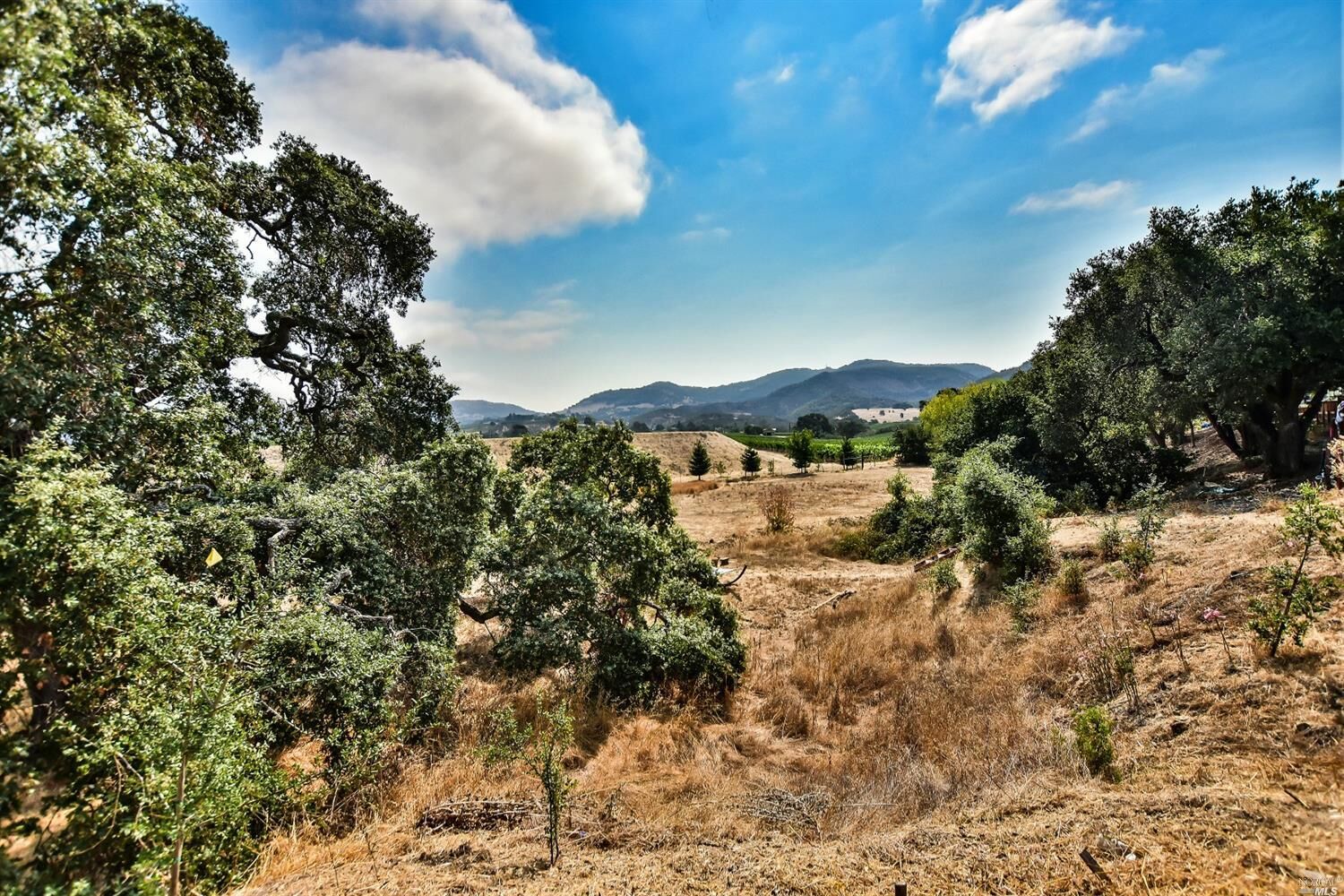 Property Photo: 1536 Juanita Street CA 94559