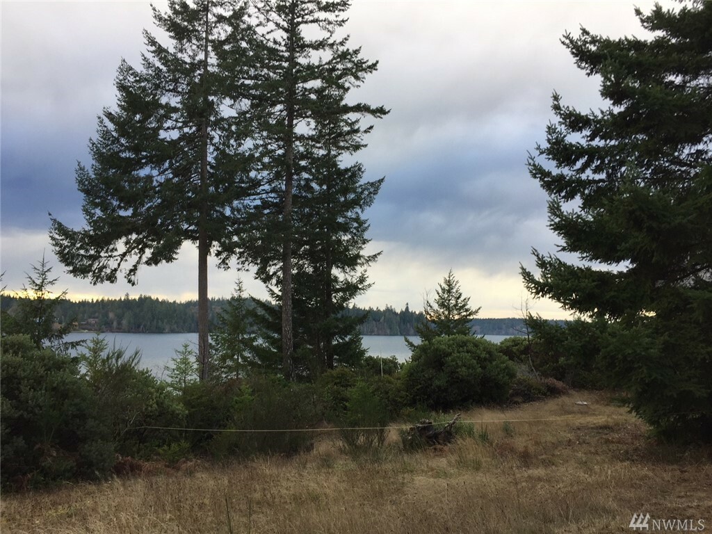 Property Photo:  331 E Robbins Rd  WA 98546 