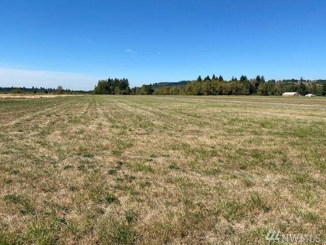 Property Photo: 0 Tauscher Rd WA 98532