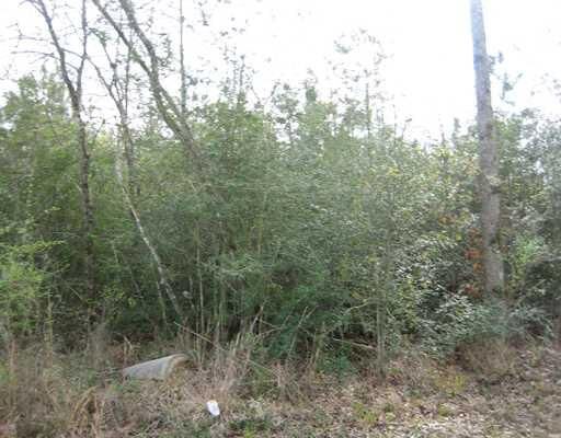 Property Photo:  Strader Road  LA 70454 