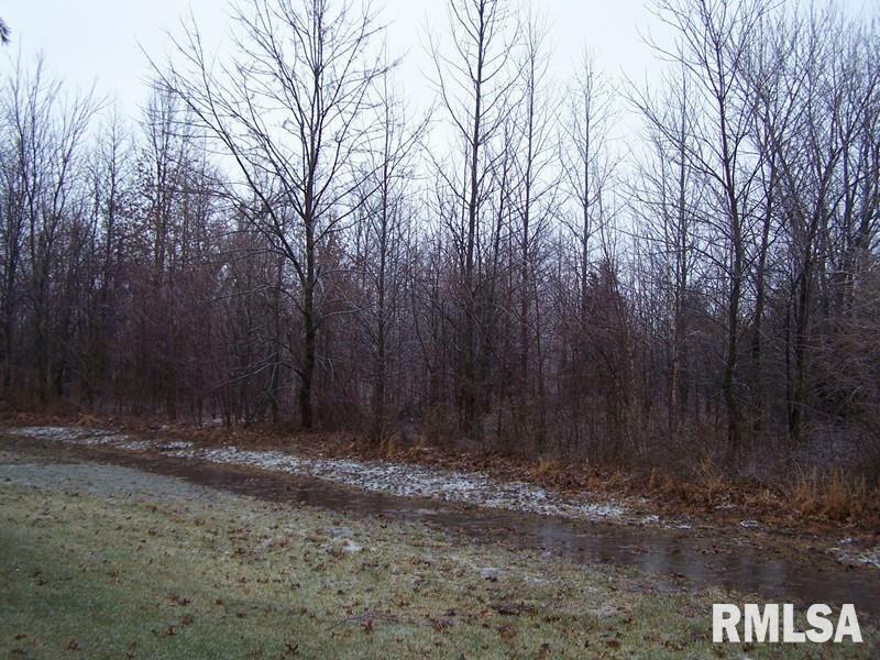 Property Photo:  0000 Adams Drive  IL 62959 
