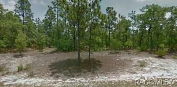 Property Photo:  4614 W Tomahawk Drive  FL 34465 