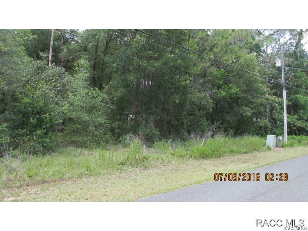 6647 E Lynn Street  Inverness FL 34452 photo