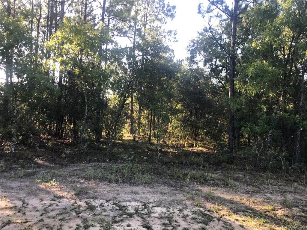 Property Photo: 8223 N Dove Orchid Drive FL 34434