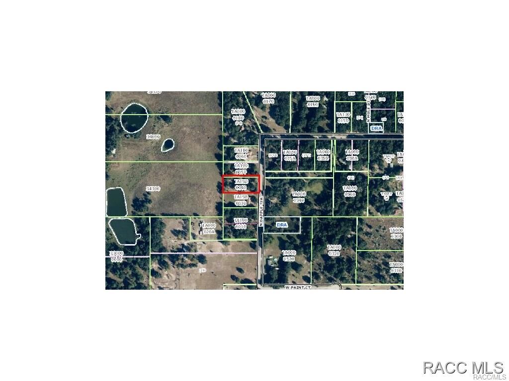 Property Photo:  10310 N Dapple Terrace  FL 34428 