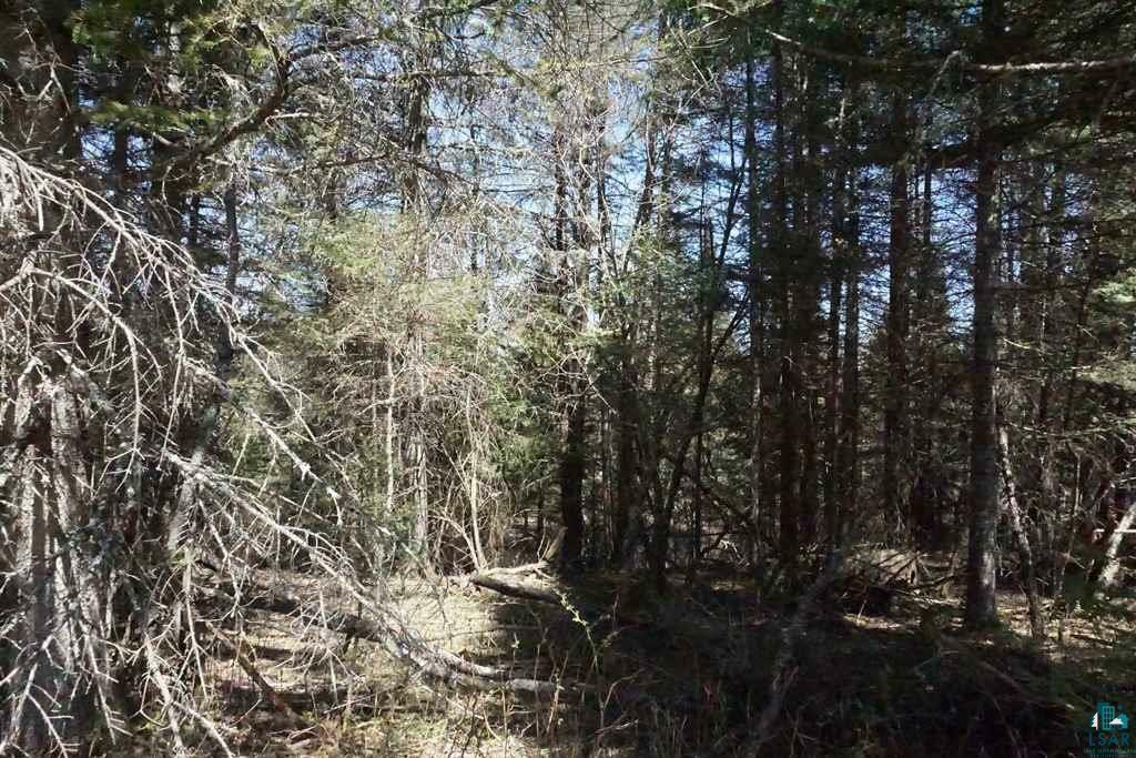 Property Photo:  5159 Hefflefinger Rd  MN 55603 