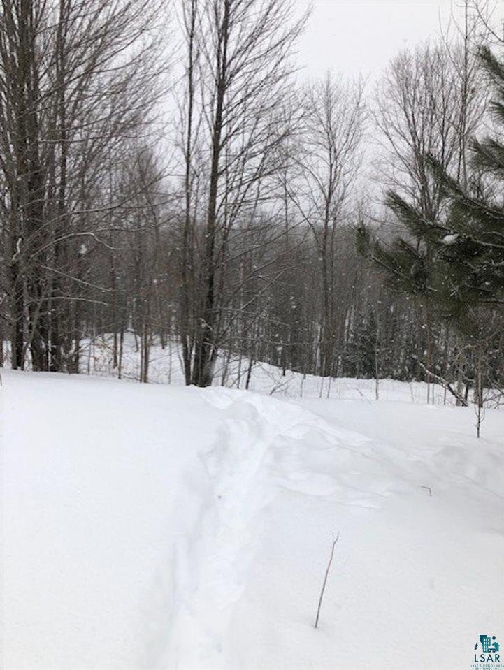 Property Photo: 000 North York Rd WI 54846