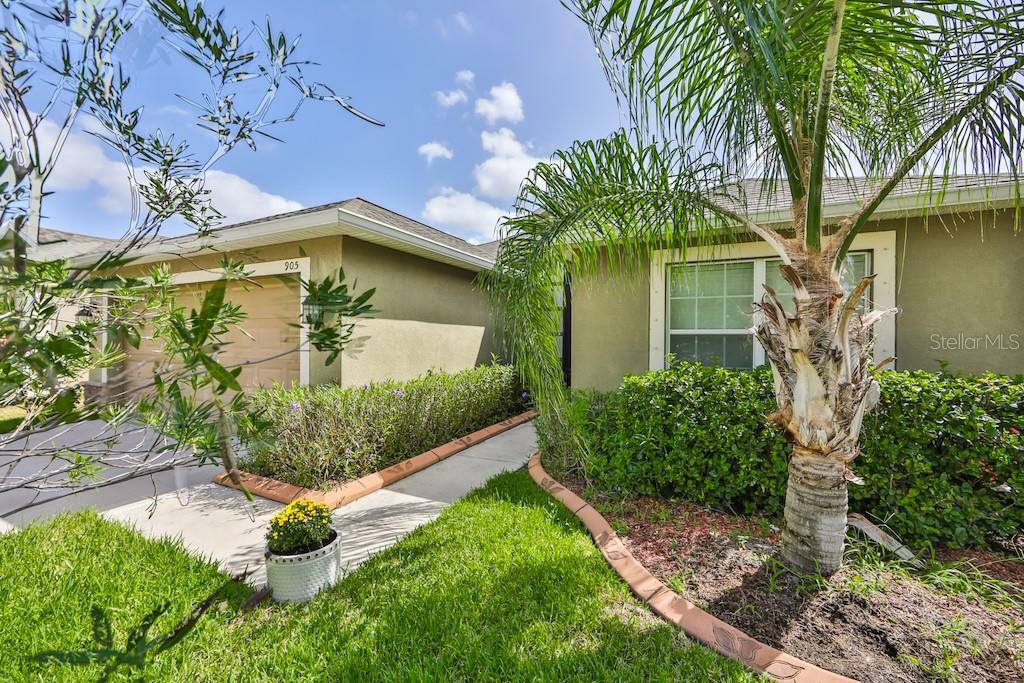 Property Photo: 905 Peregrine Hill Place FL 33570