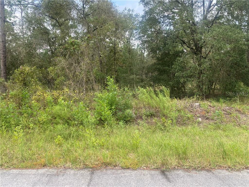 Property Photo:  Lot 32 NW Smallwood Road  FL 34431 