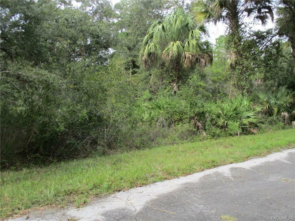 8918 N Evenstock Way  Crystal River FL 34428 photo