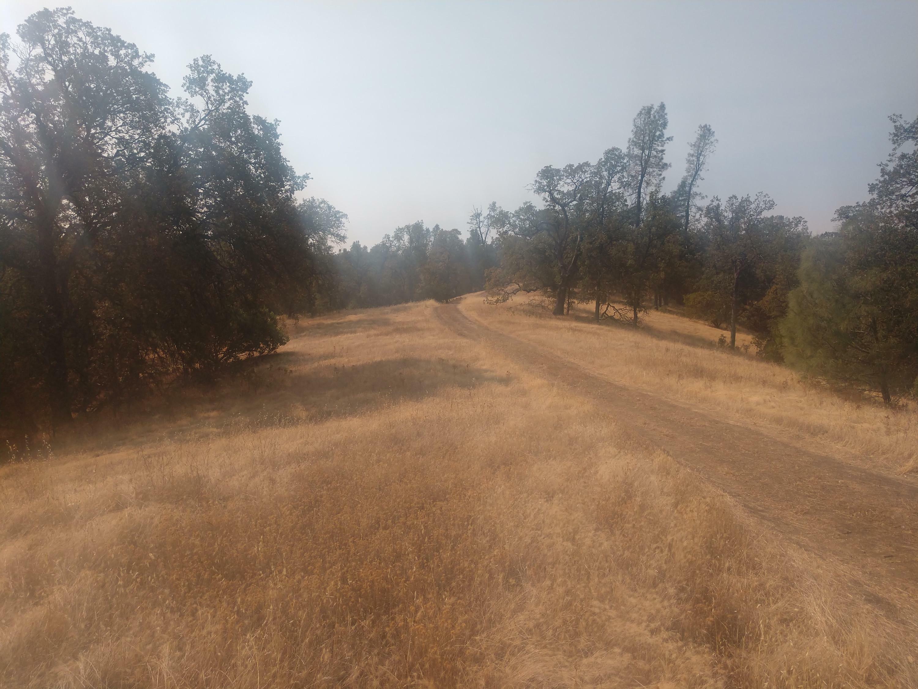 Property Photo:  Big Pines Rd  CA 96022 