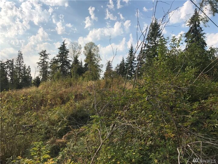 0 Robin Lane  Oak Harbor WA 98277 photo