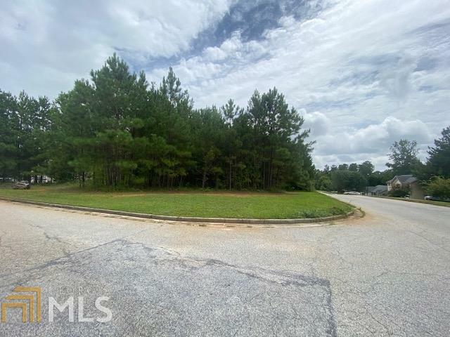Property Photo: 10 Shadowbrook Court GA 30016