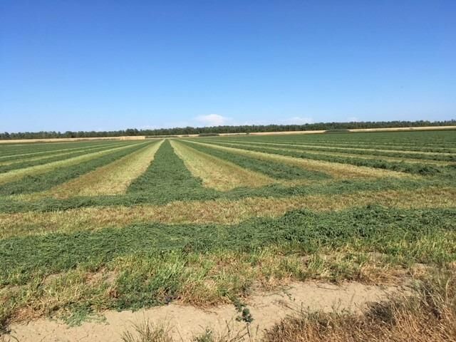 Property Photo: 0 County Road 102 CA 95776