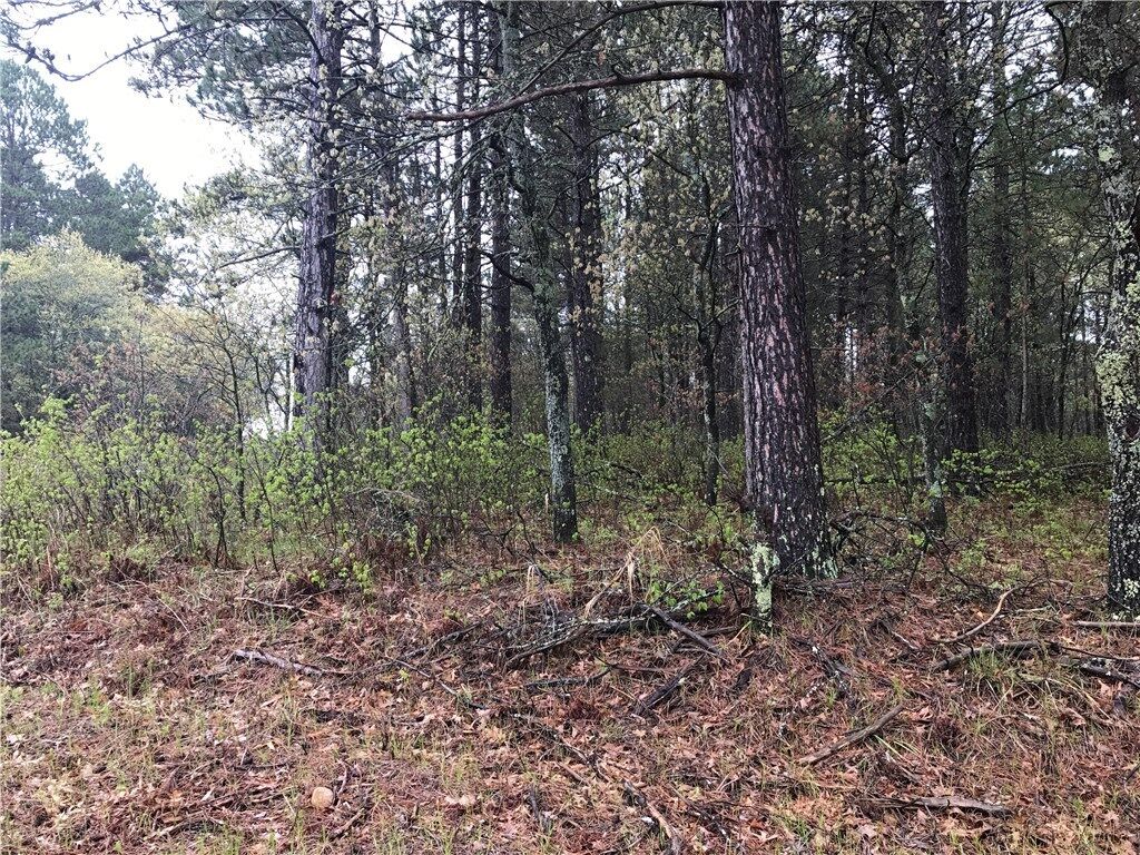 Property Photo:  Lot 47 Juniper  WI 54873 