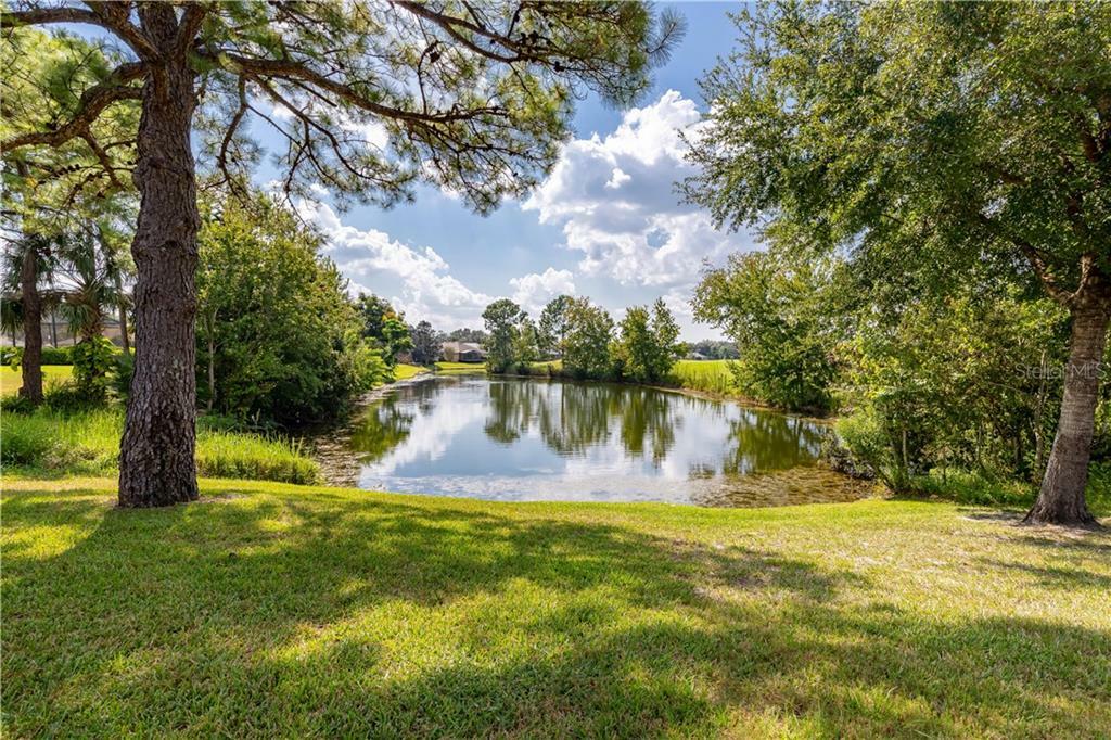 Property Photo:  9088 Laurel Ridge Drive  FL 32757 