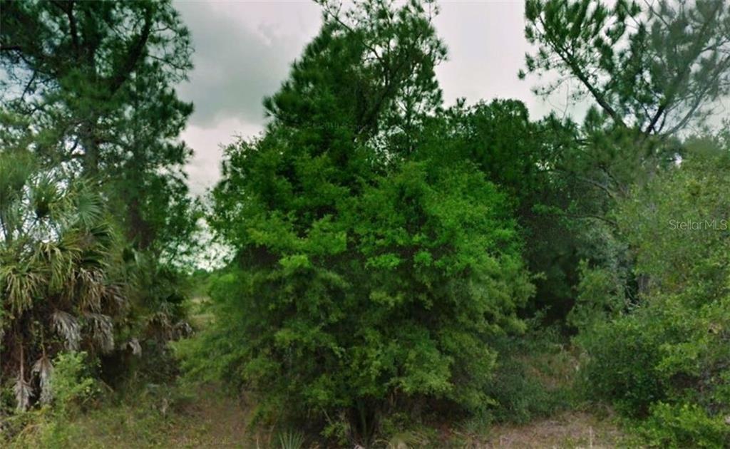 Property Photo:  Nell Road  FL 34288 