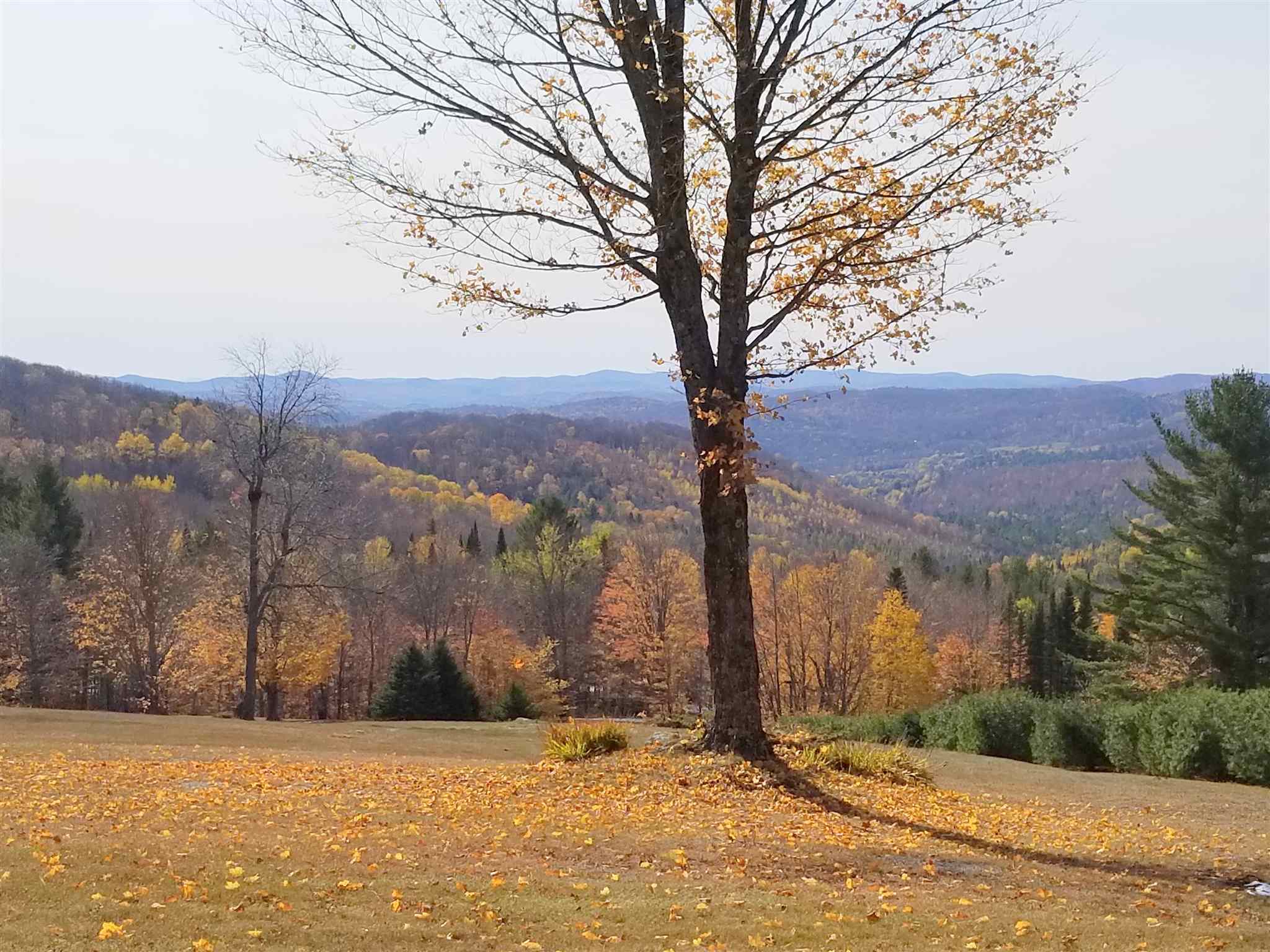 Property Photo:  23 John White Road  VT 05076 