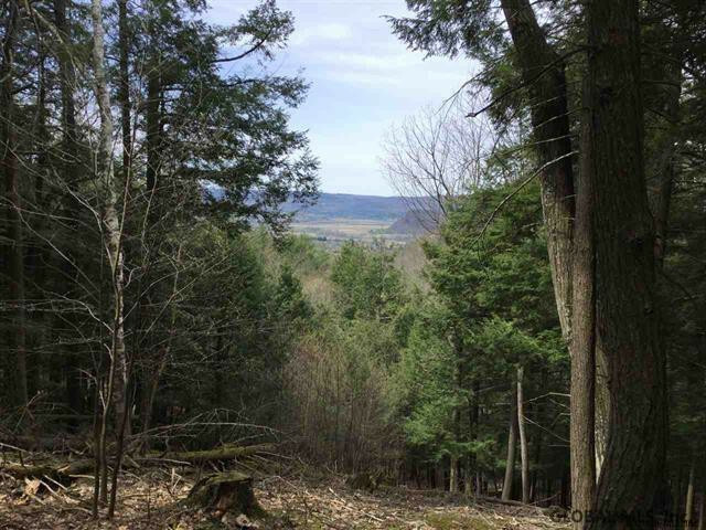 Property Photo:  0 Cotton Hill Road  NY 12122 