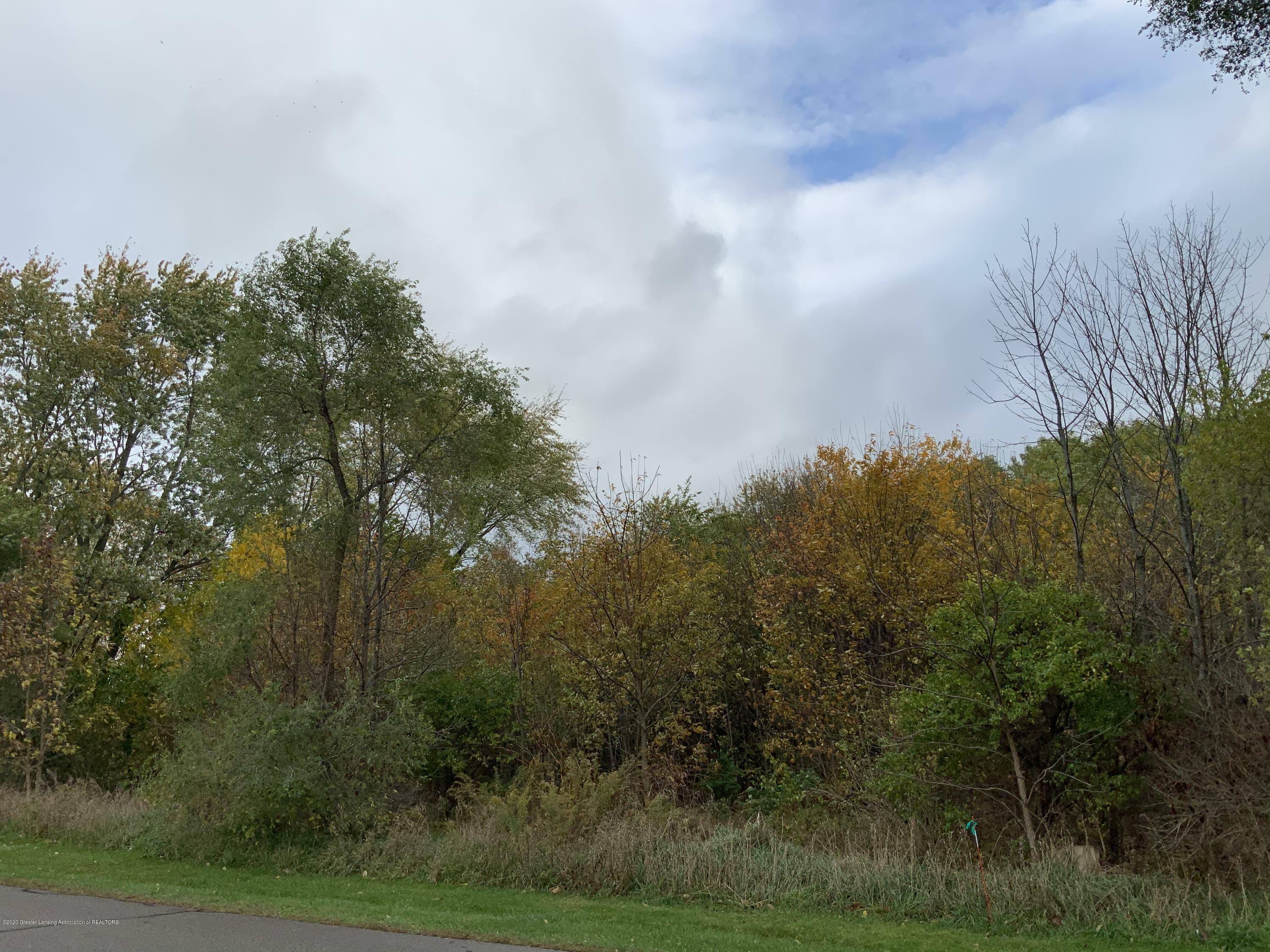 Property Photo:  0 Petrieville Highway  MI 48827 