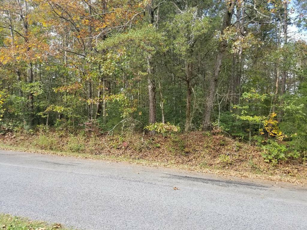 Property Photo:  00 County Road 613  TN 37303 