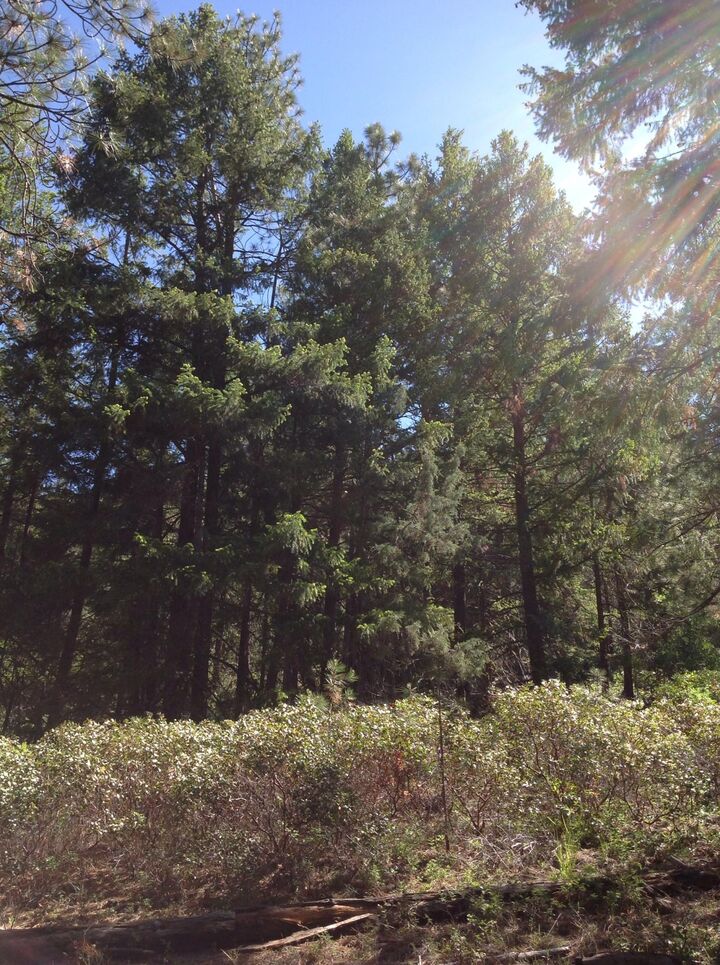 0 Slip Easy Road  Keno OR 97627 photo