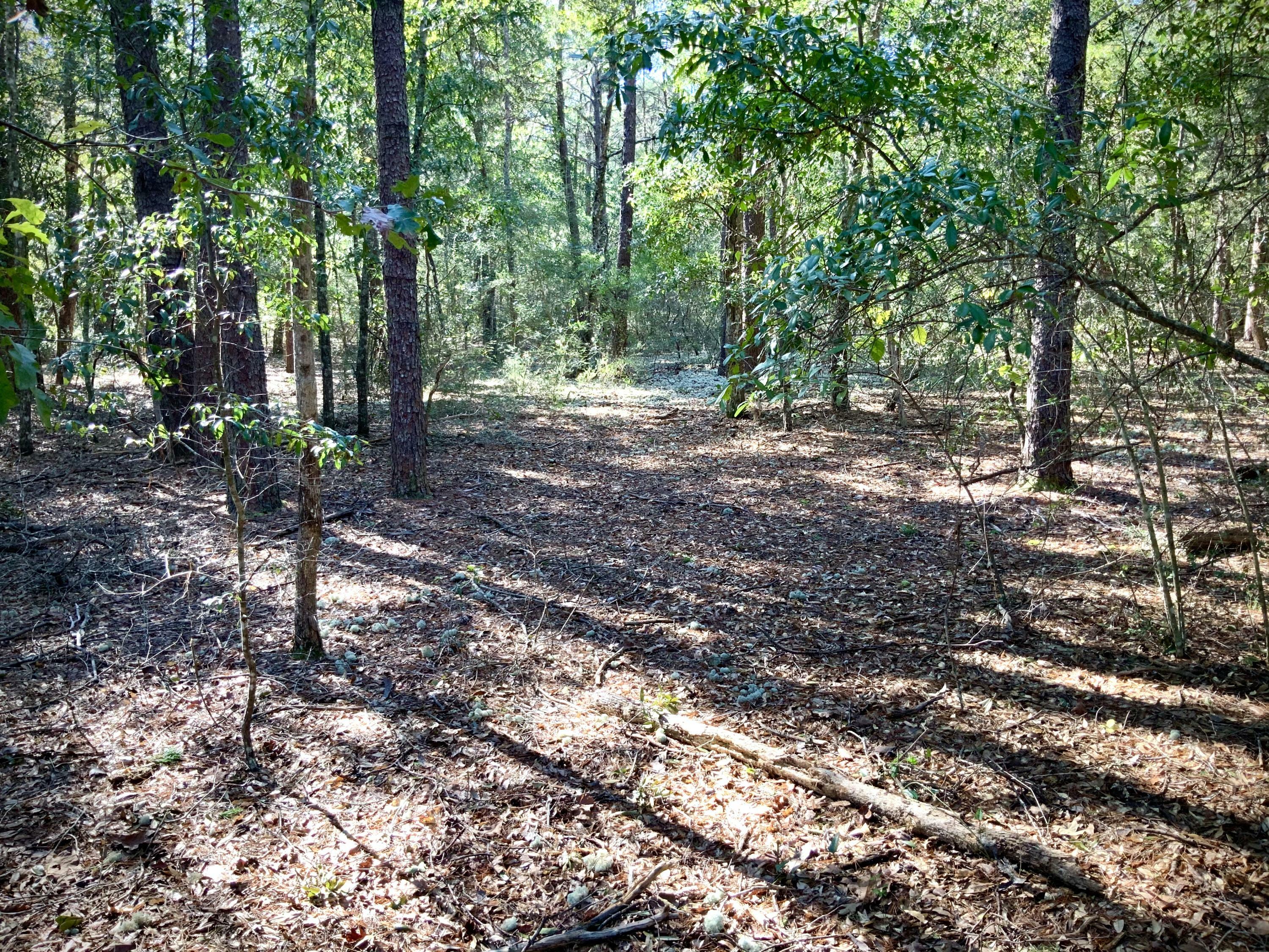 Property Photo:  0 E Roberts Road  FL 32433 