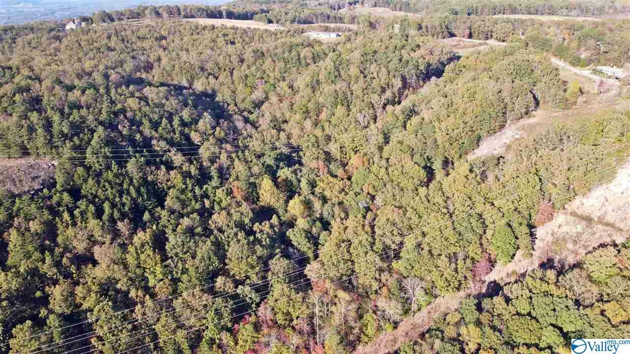 Property Photo: 0 County Road 131 AL 35958