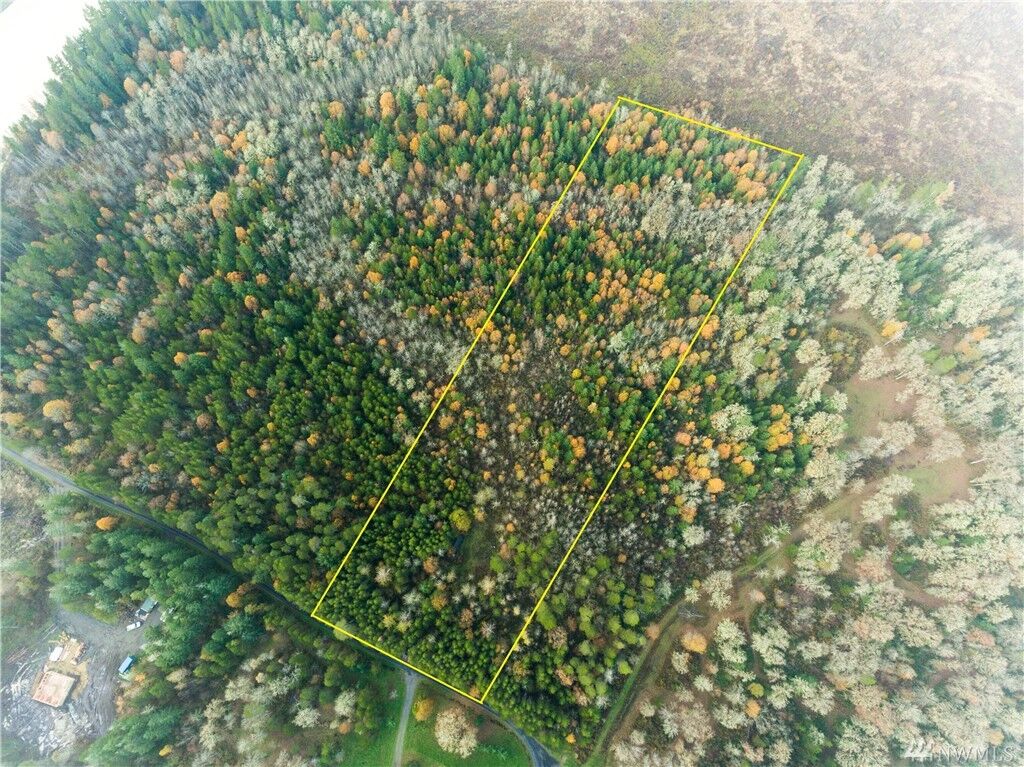 Property Photo:  287 Pine Tree Rd  WA 98591 