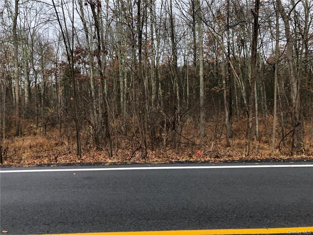 Decker Tbn Road  Pine Bush NY 12566 photo
