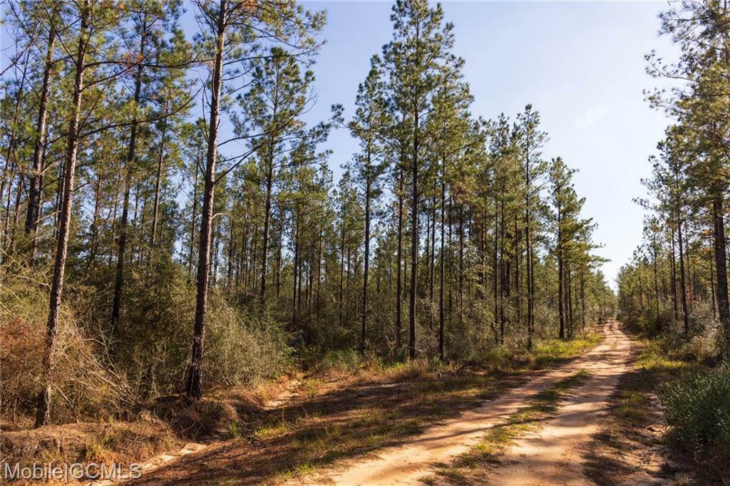 Property Photo:  Frazier Cemetery Road  AL 36522 