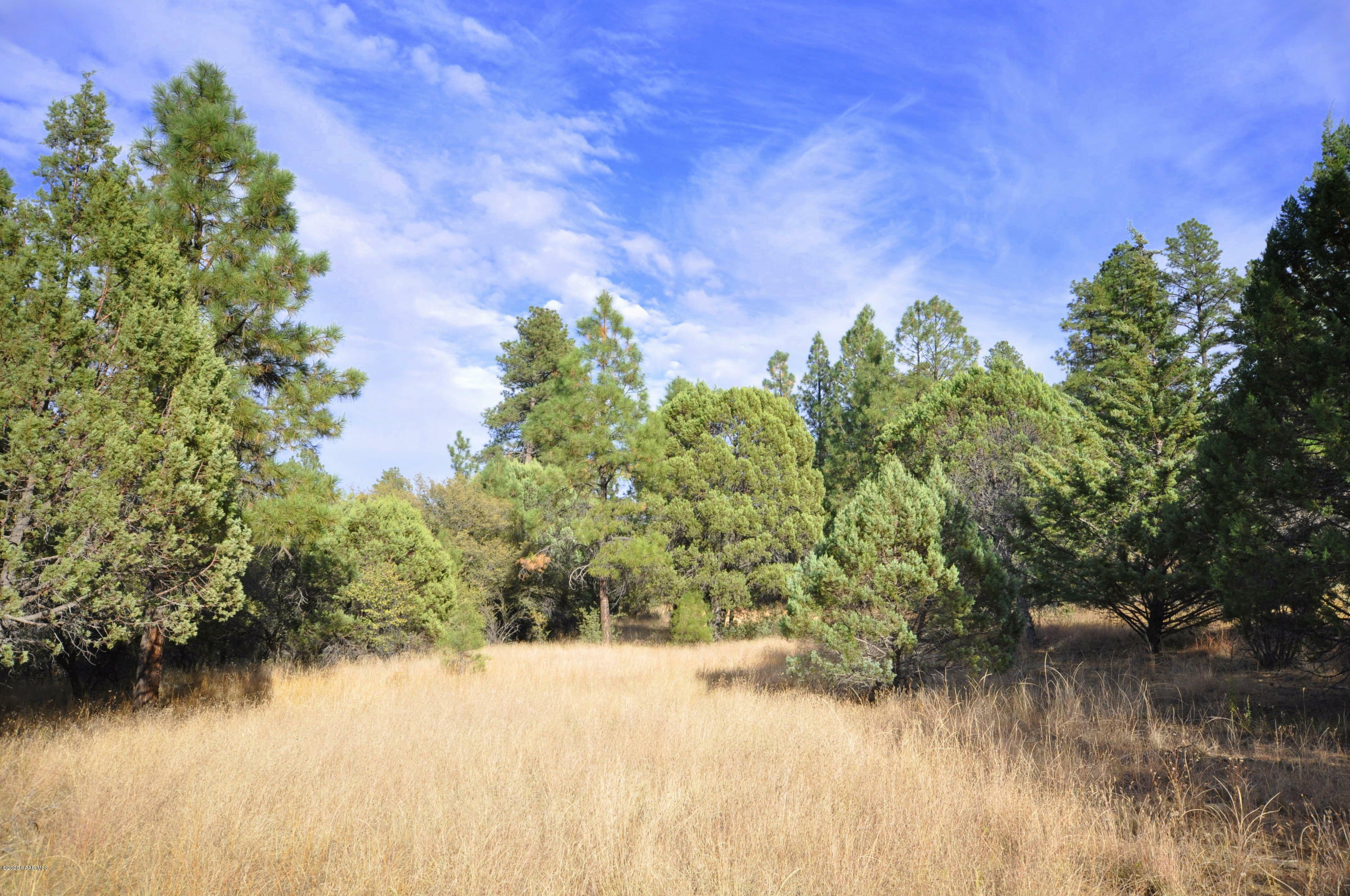 Property Photo:  3180 W Pine Lakes Drive  AZ 86305 