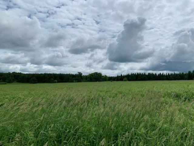 Property Photo:  Lot 1 French Ridge Road  WI 54452 