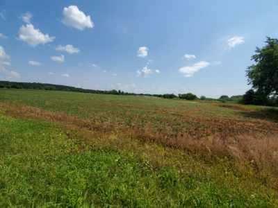 Property Photo:  Forest Ridge Rd  WI 54941 