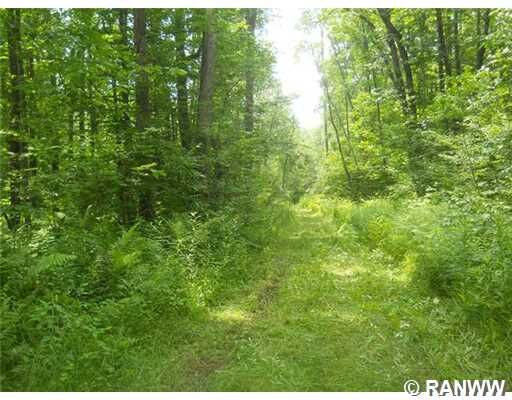 Property Photo: 0 Lot 1 Gamebird Lane WI 54817