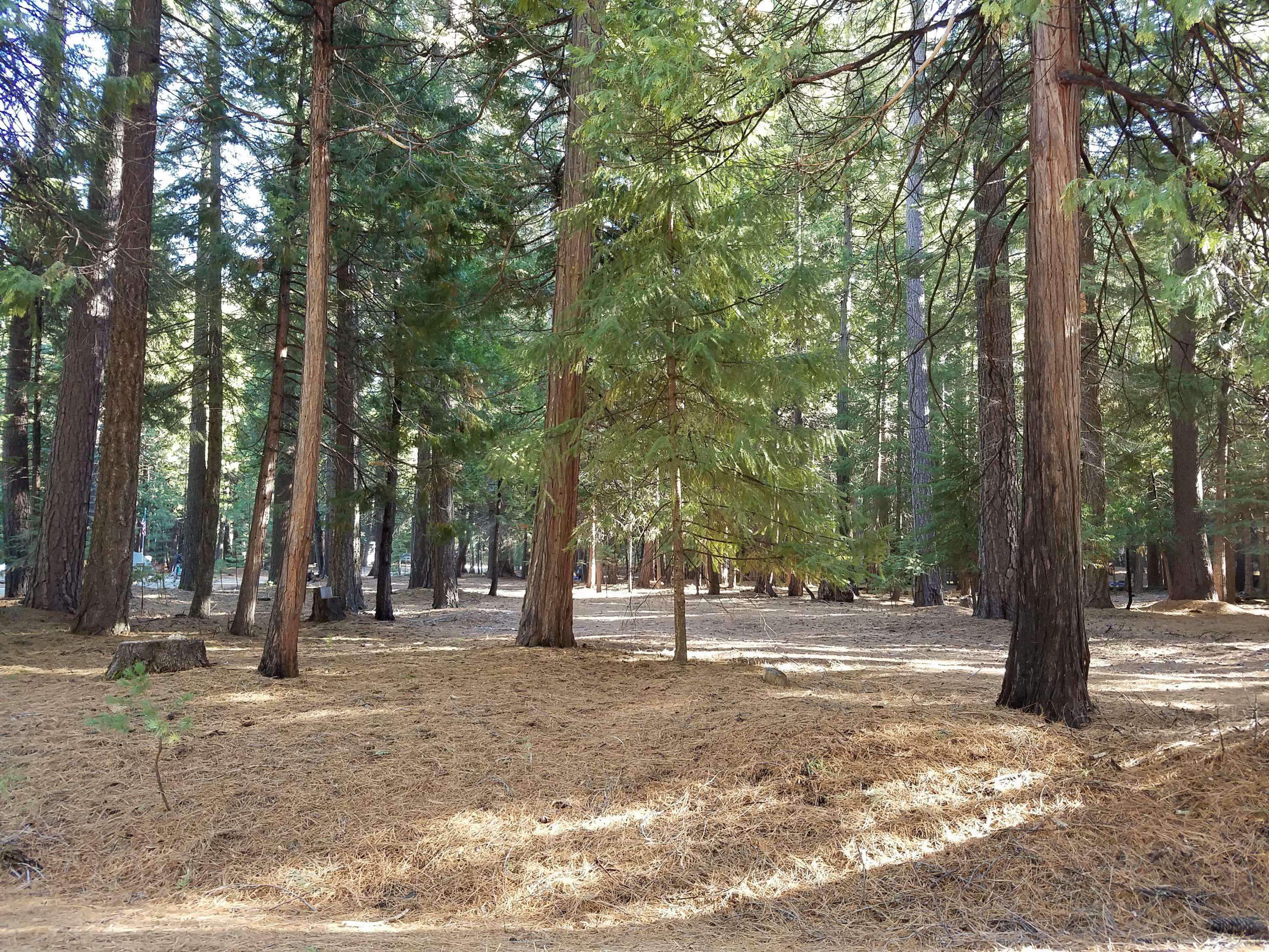 Property Photo:  Lot # 6 Colossians Way  CA 96088 