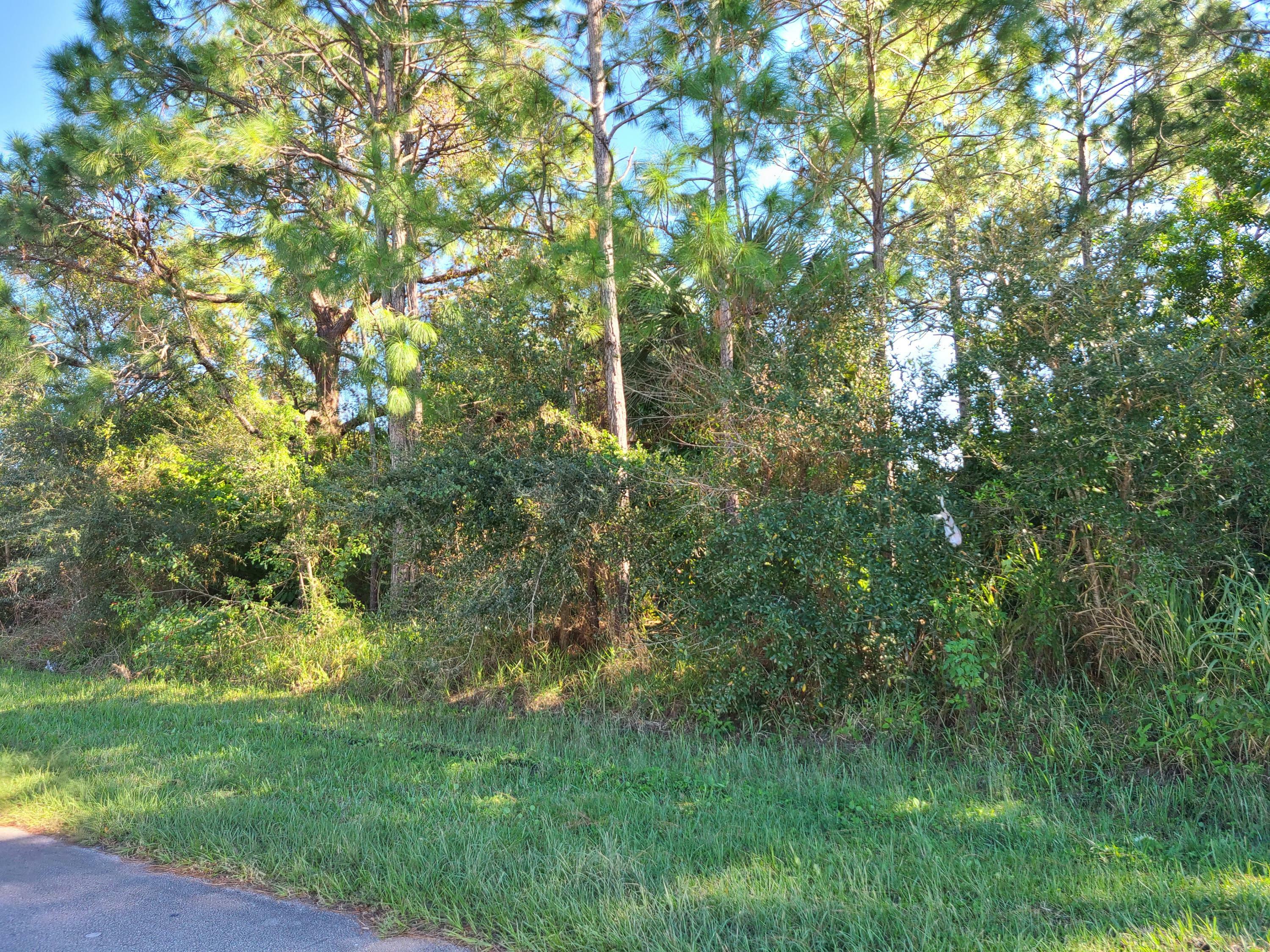 Property Photo:  1702 SW Victor Lane  FL 34984 