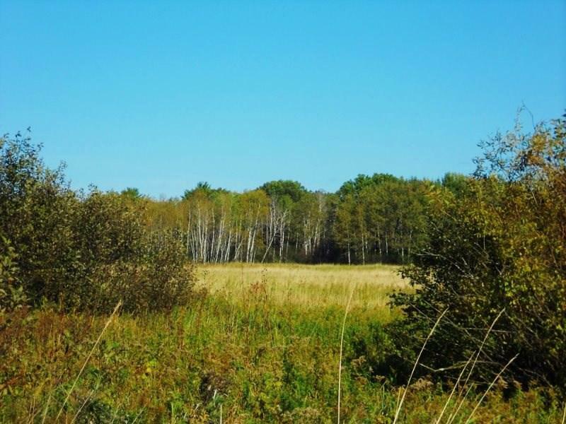 Property Photo:  20.13 Ac County Road Cm  WI 54660 