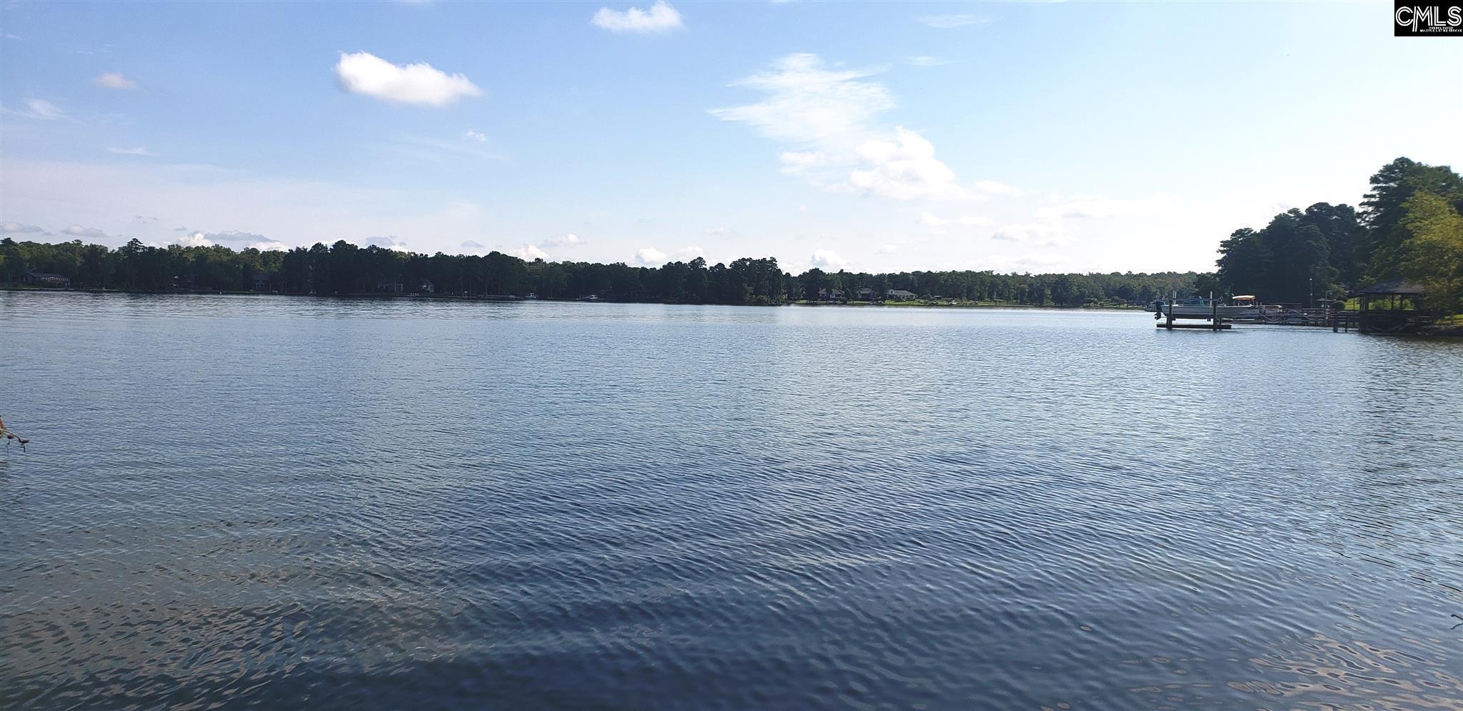 Property Photo:  338 Killian Point  SC 29036 