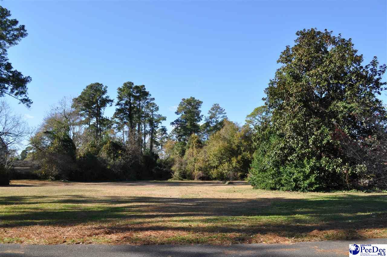 Property Photo:  911 Dogwood Drive  SC 29571 