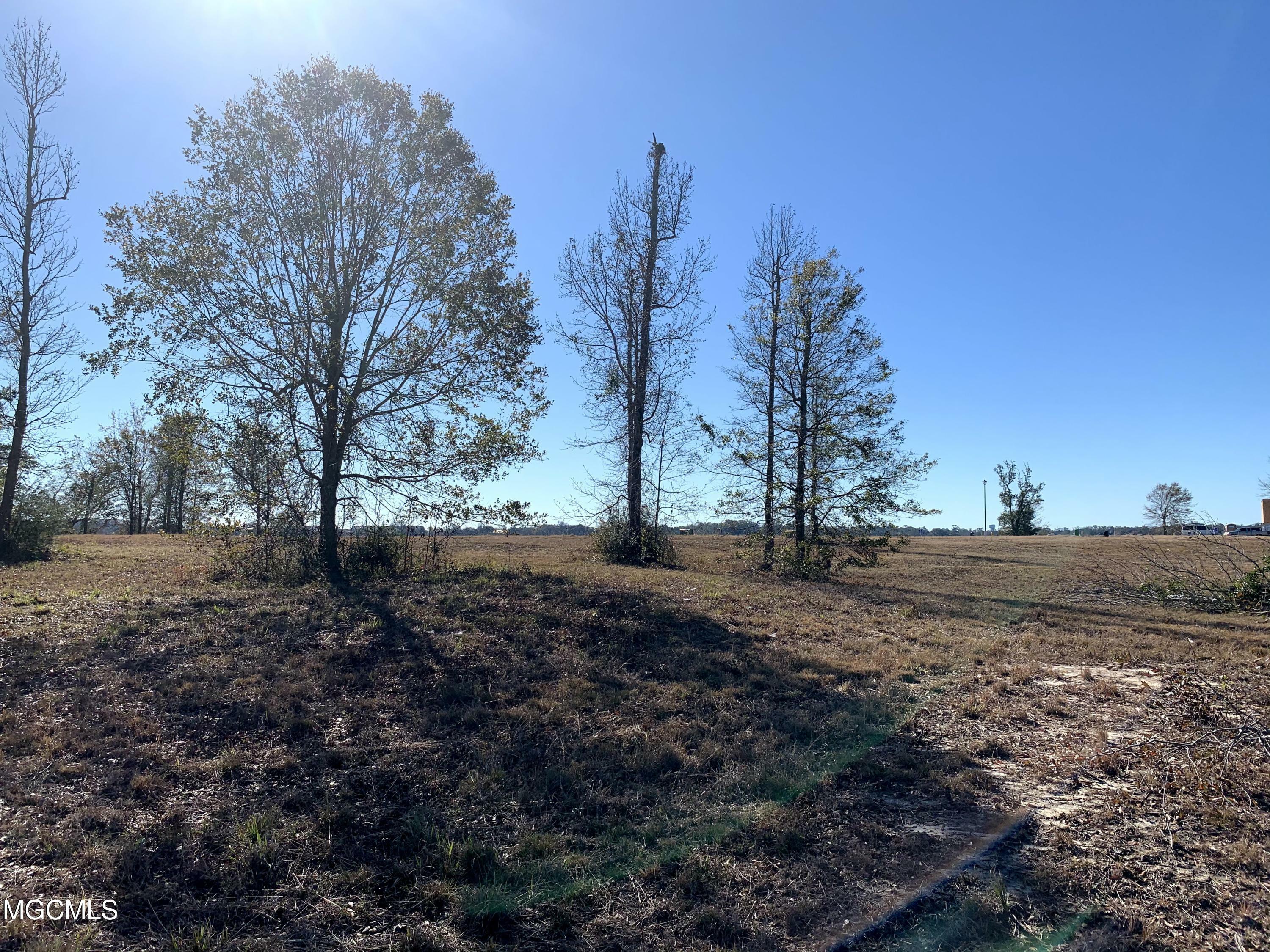 Property Photo:  Lot 14 Wetzel Drive  MS 39532 