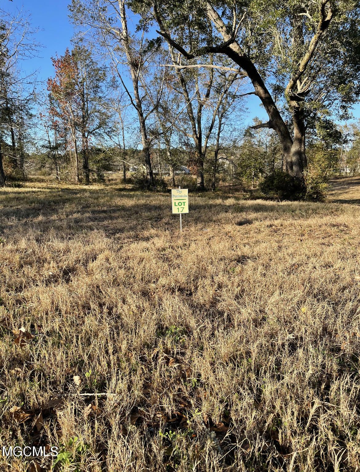 Property Photo:  Lot 17 Wetzel Drive  MS 39532 