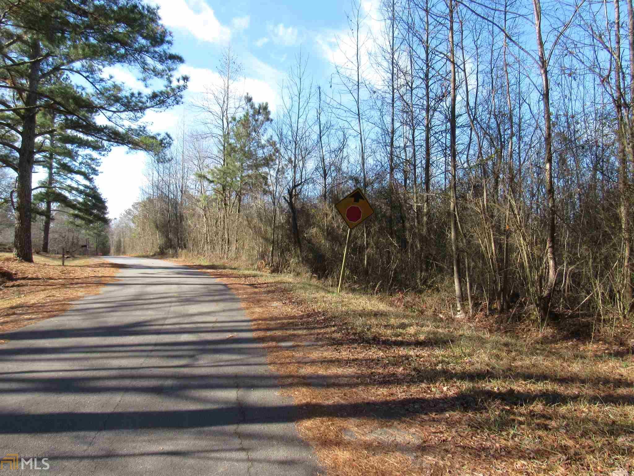 Property Photo: 0 N Highway 100 Tract D GA 30108