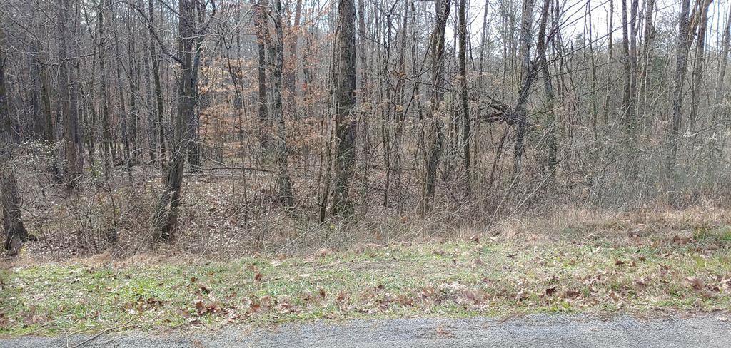 Property Photo:  00 County Road 492  TN 37331 