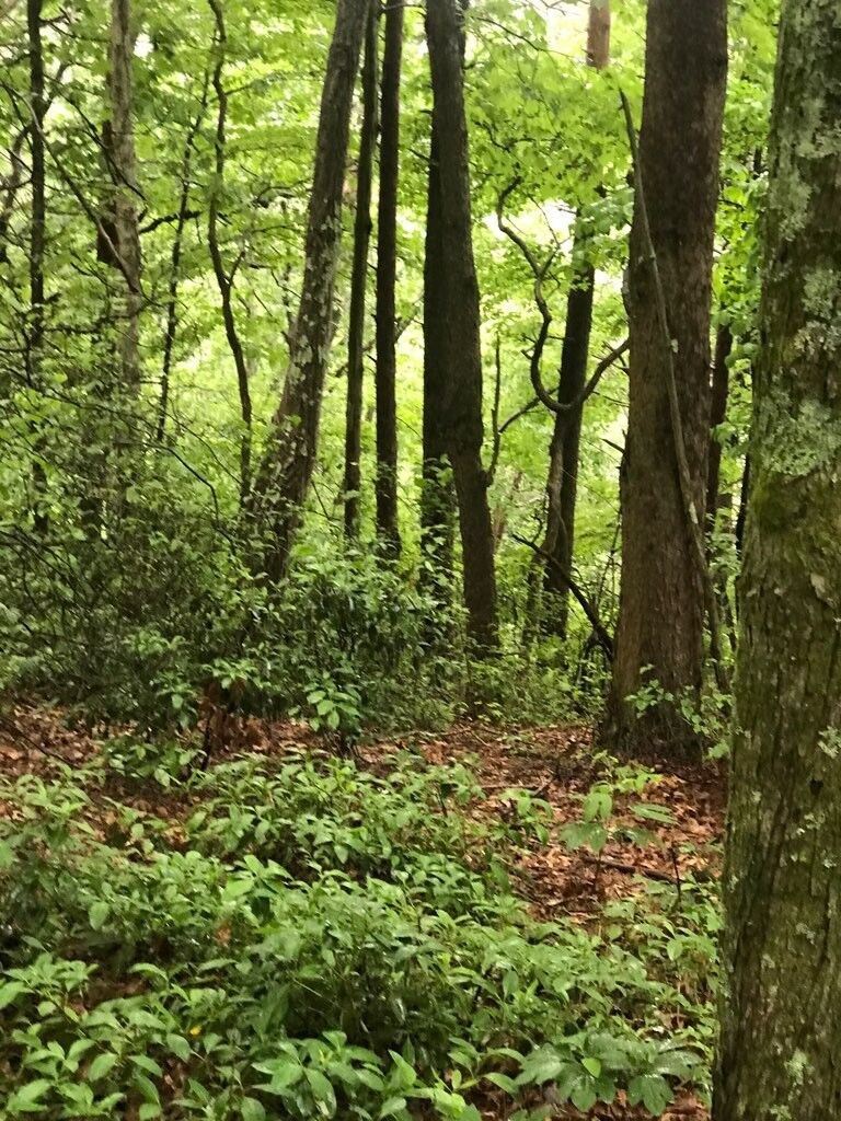 Property Photo:  0 Adams Rd  TN 37387 