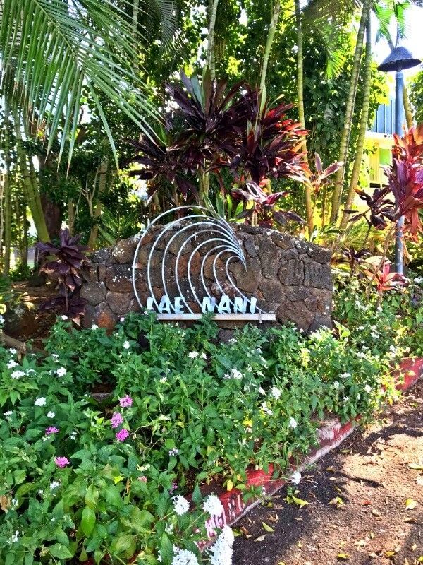 410 Papaloa Rd 215  Kapaa HI 96746 photo