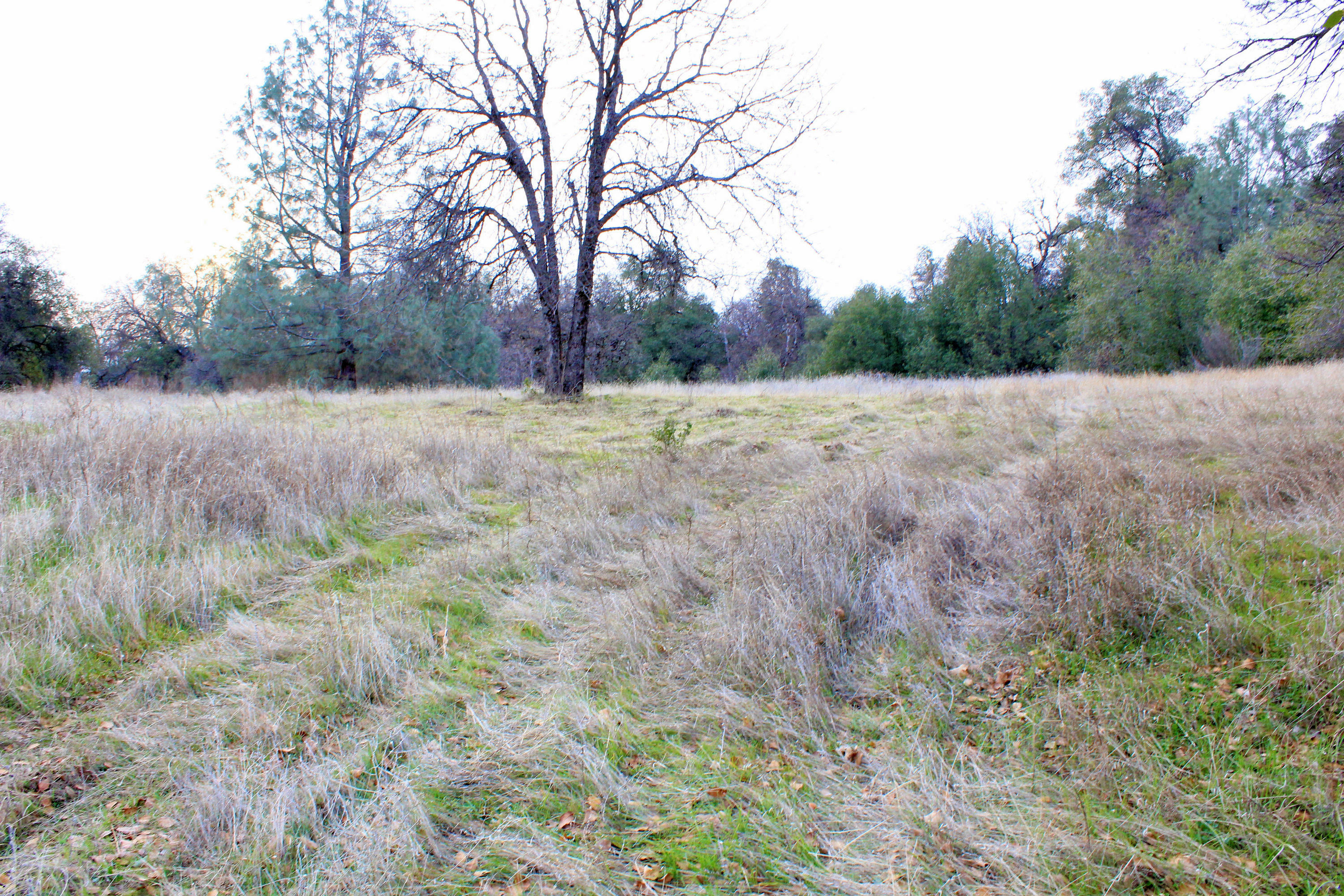 Property Photo:  5.42 Acres Bear Valley Trail  CA 96003 