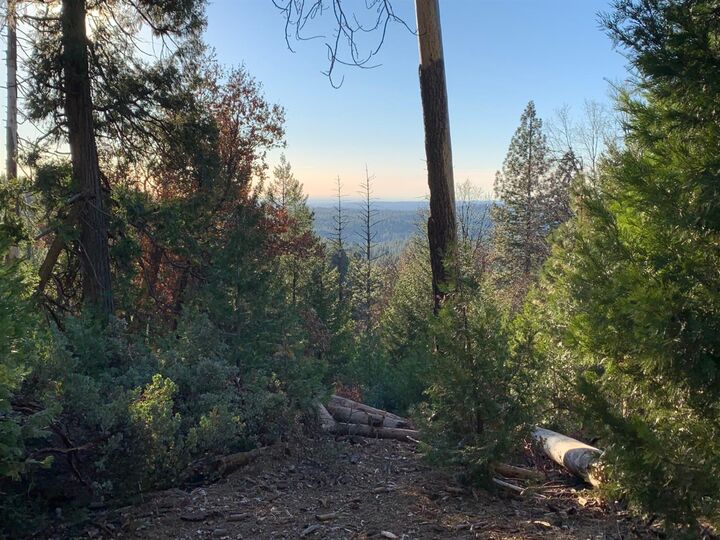 4898 Creekside Drive  Grizzly Flats CA 95636 photo